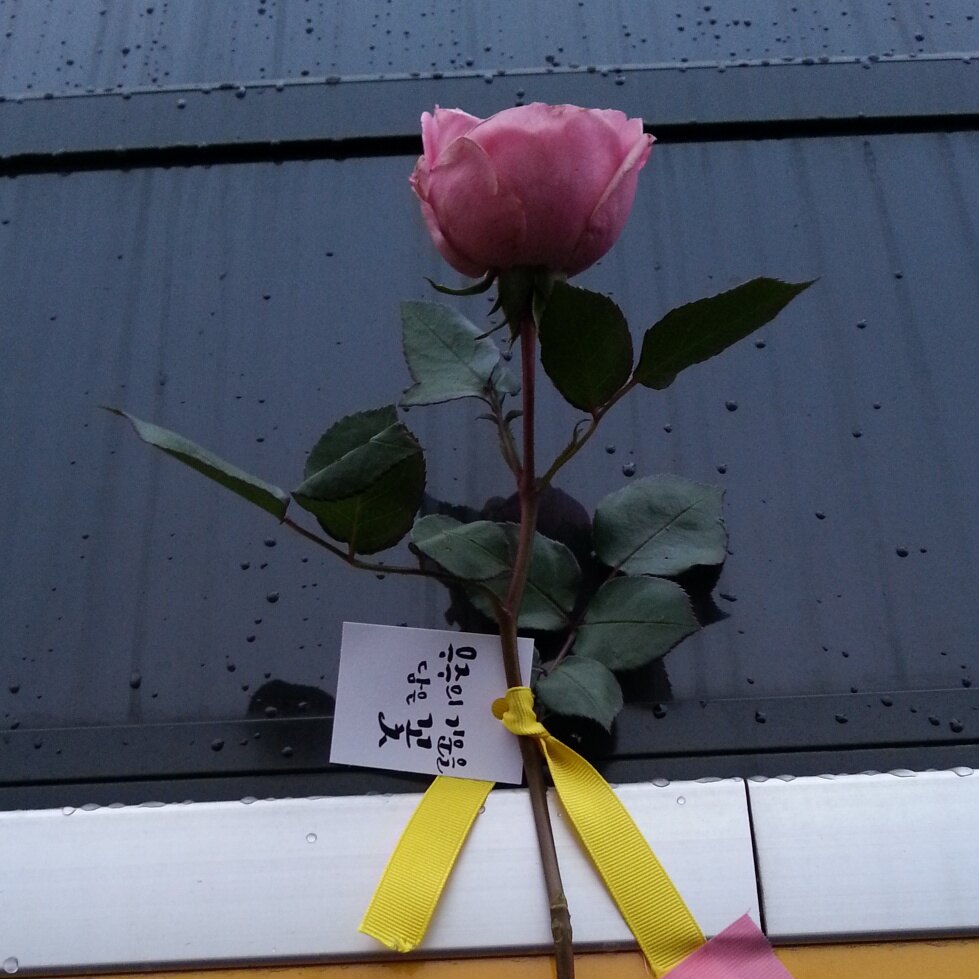 글쎄요님의 서재