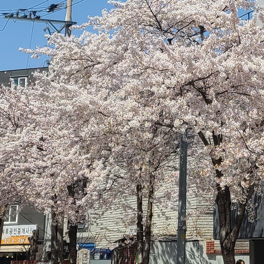may5763님의 서재