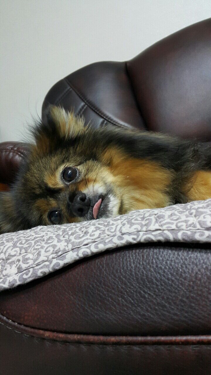 정희수님의 서재
