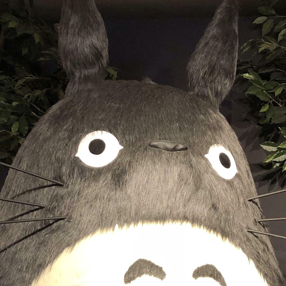 정은실님의 서재