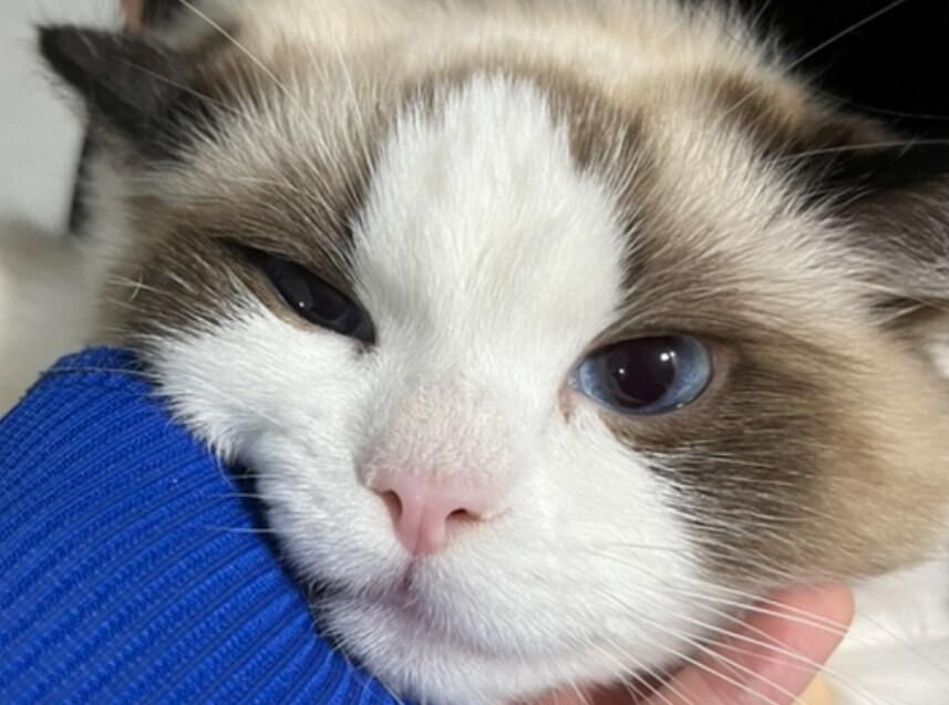 mznszz.h님의 서재