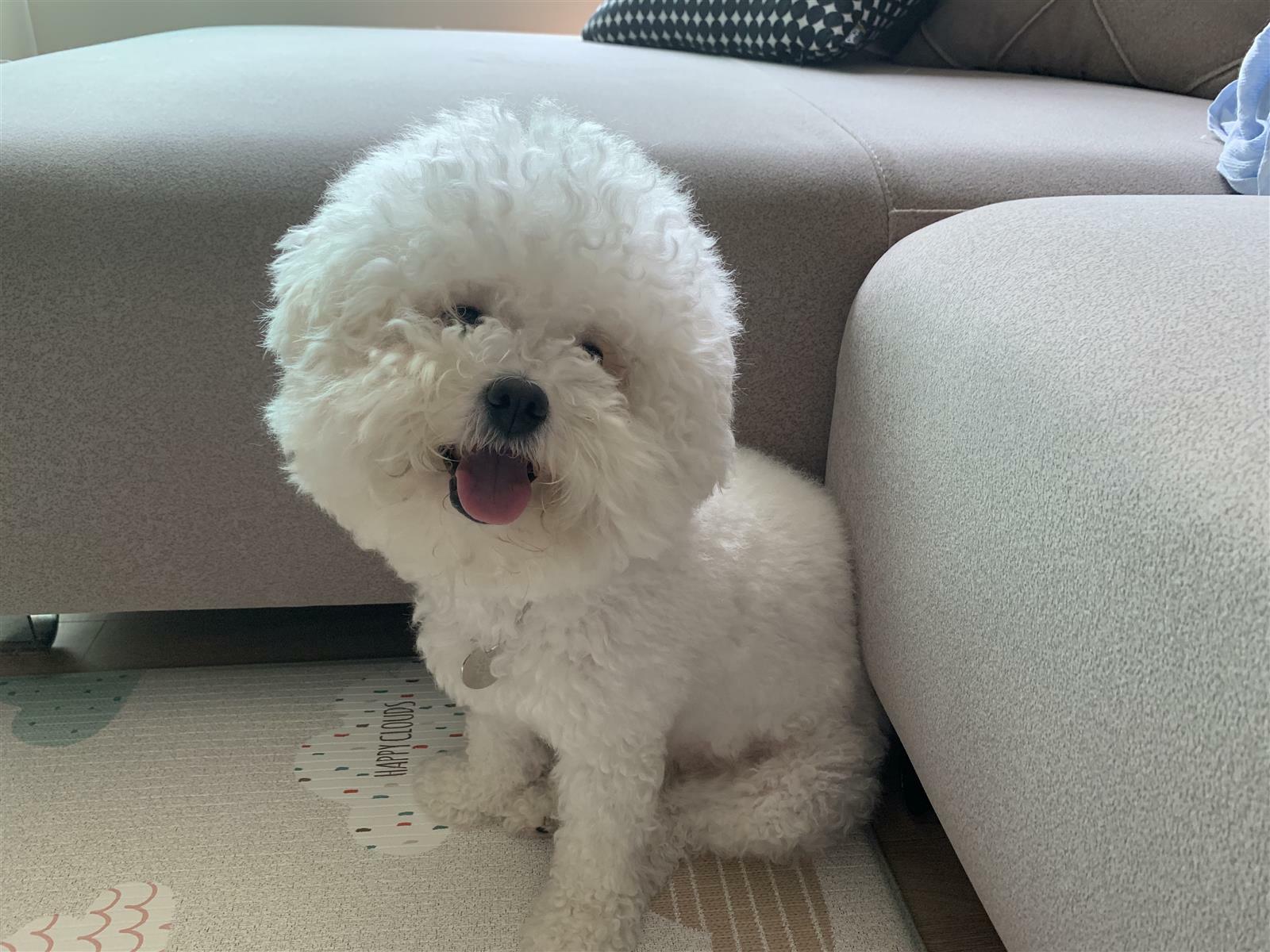 kyungjin13님의 서재