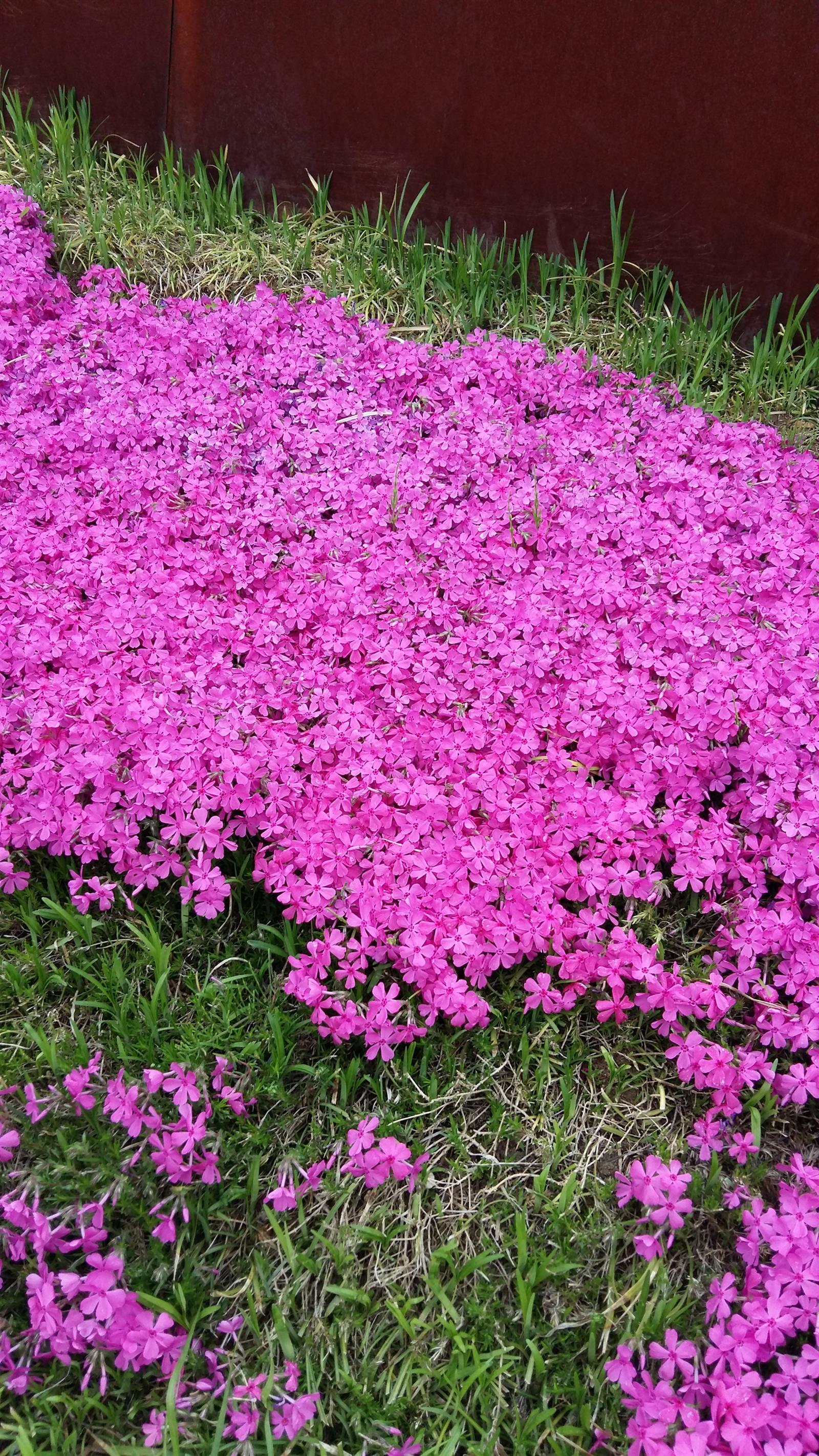 박애리님의 서재