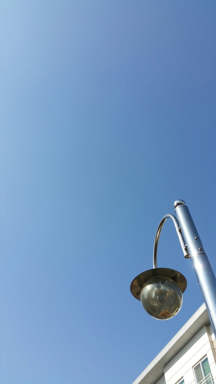 공작왕님의 서재