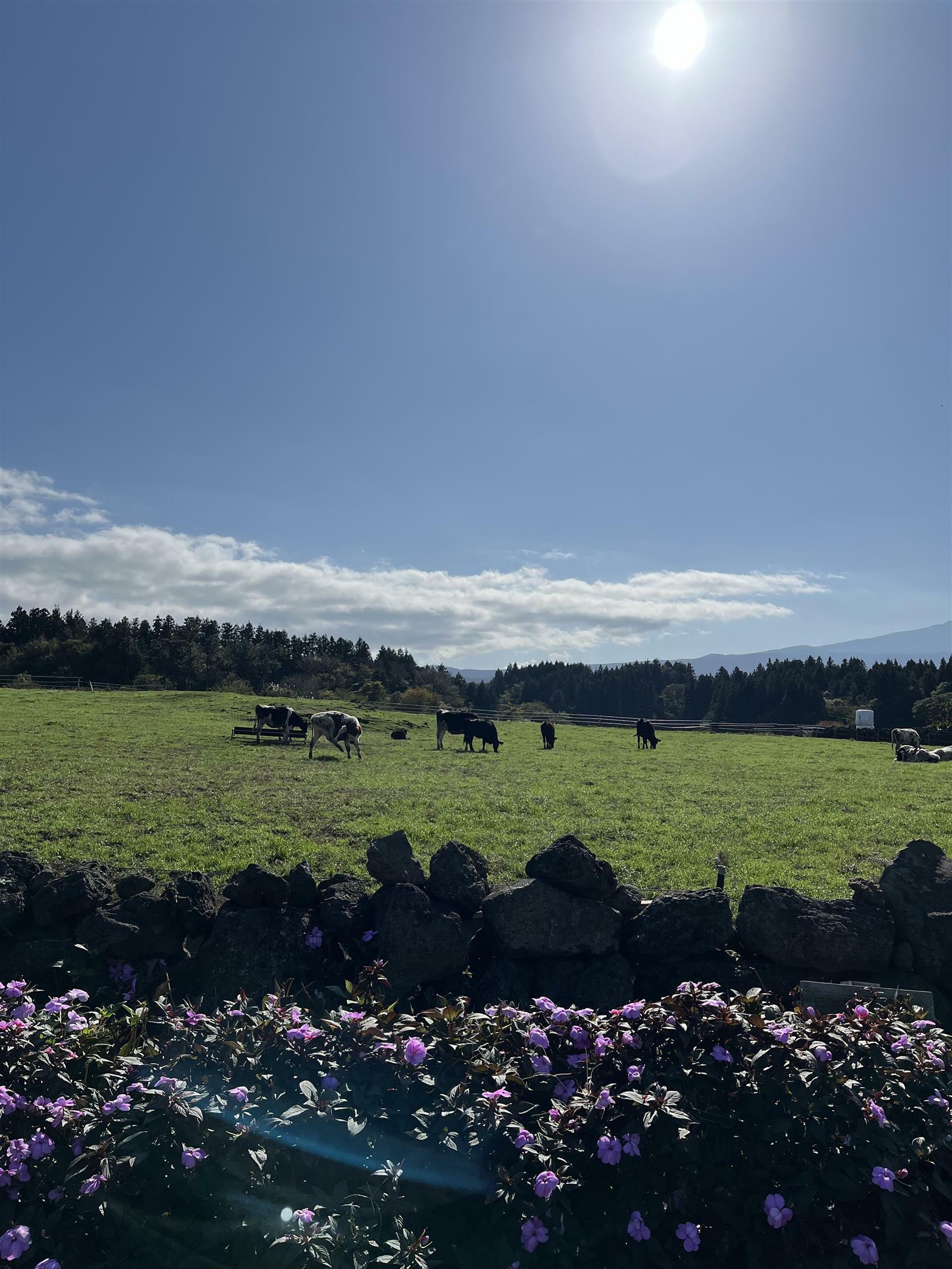 zzbsatin님의 서재