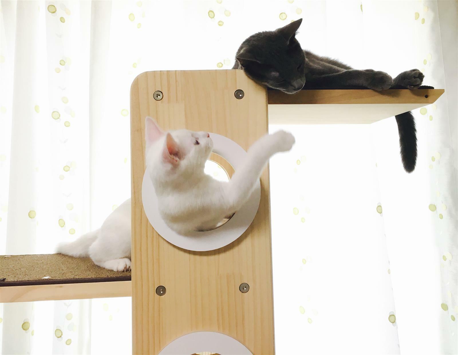 flying74님의 서재