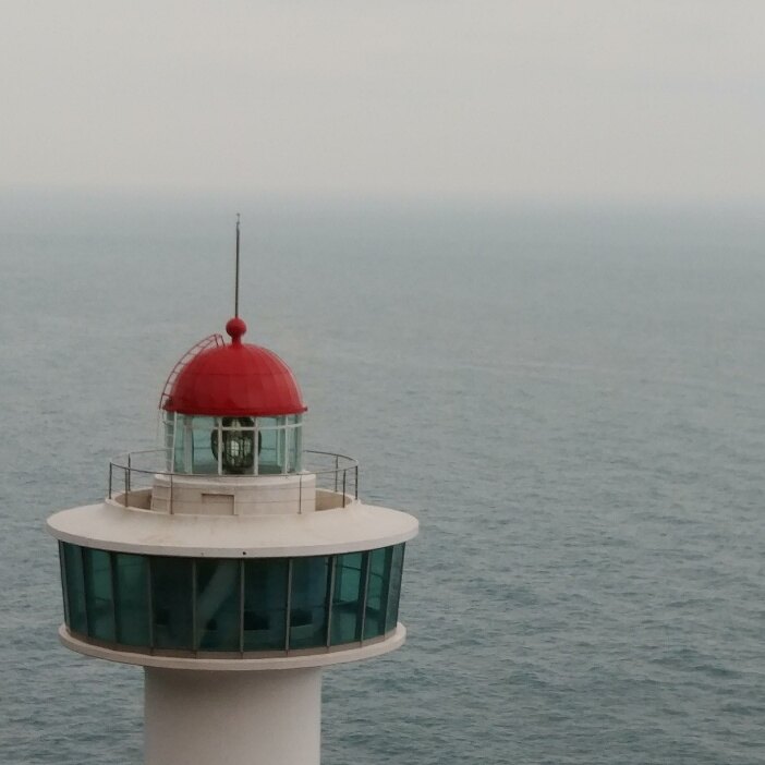 박태미님의 서재