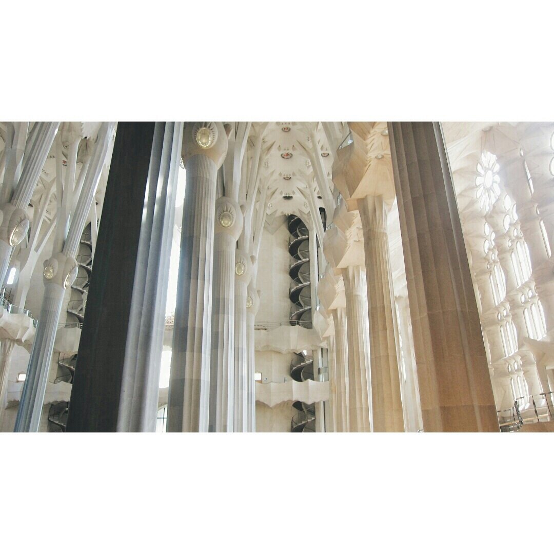 rocktheboat님의 서재