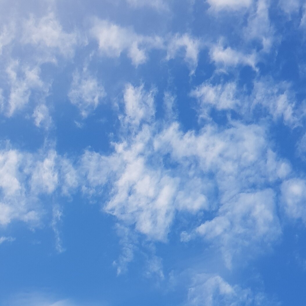 향기로운뜰님의 서재