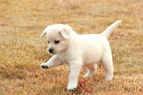 책책책책을읽자님의 서재