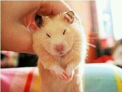 africaslip님의 서재