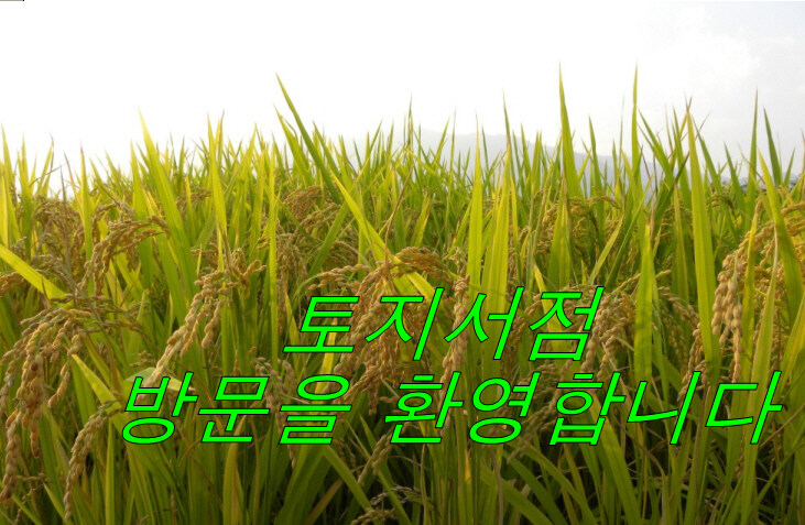 [알라딘] 좋은 책을 고르는 방법, 알라딘!