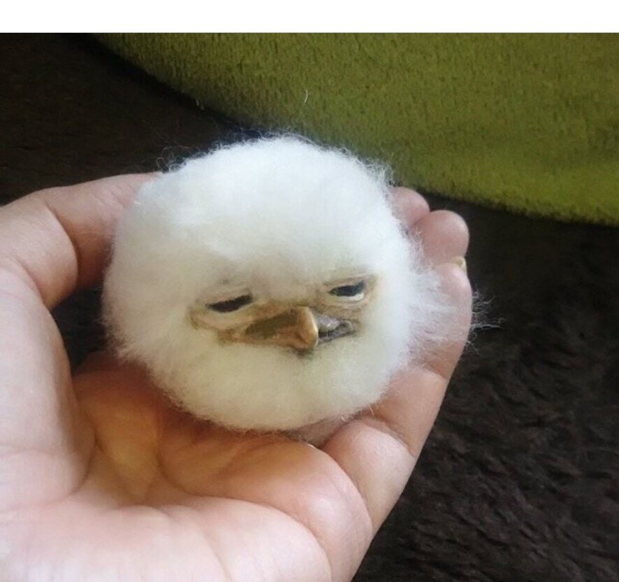 월귤덩굴님의 서재