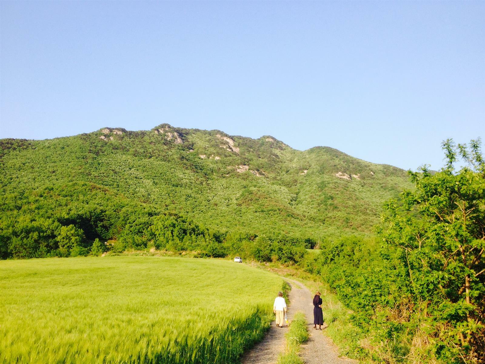 수보리님의 서재