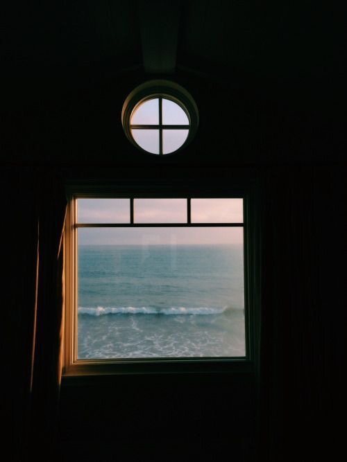 gksthf1202의 서재