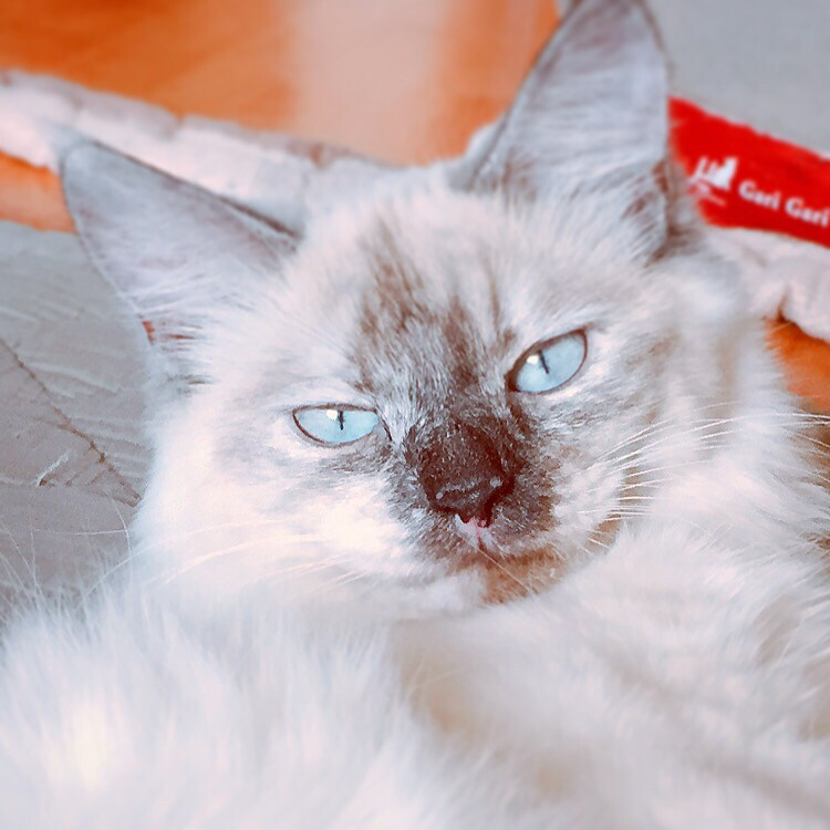 이니나님의 서재