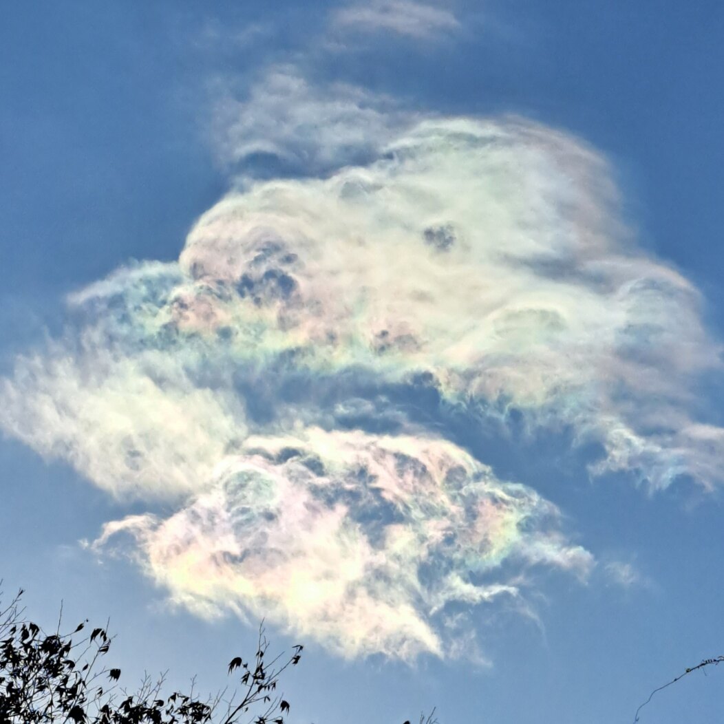 들고양이님의 서재