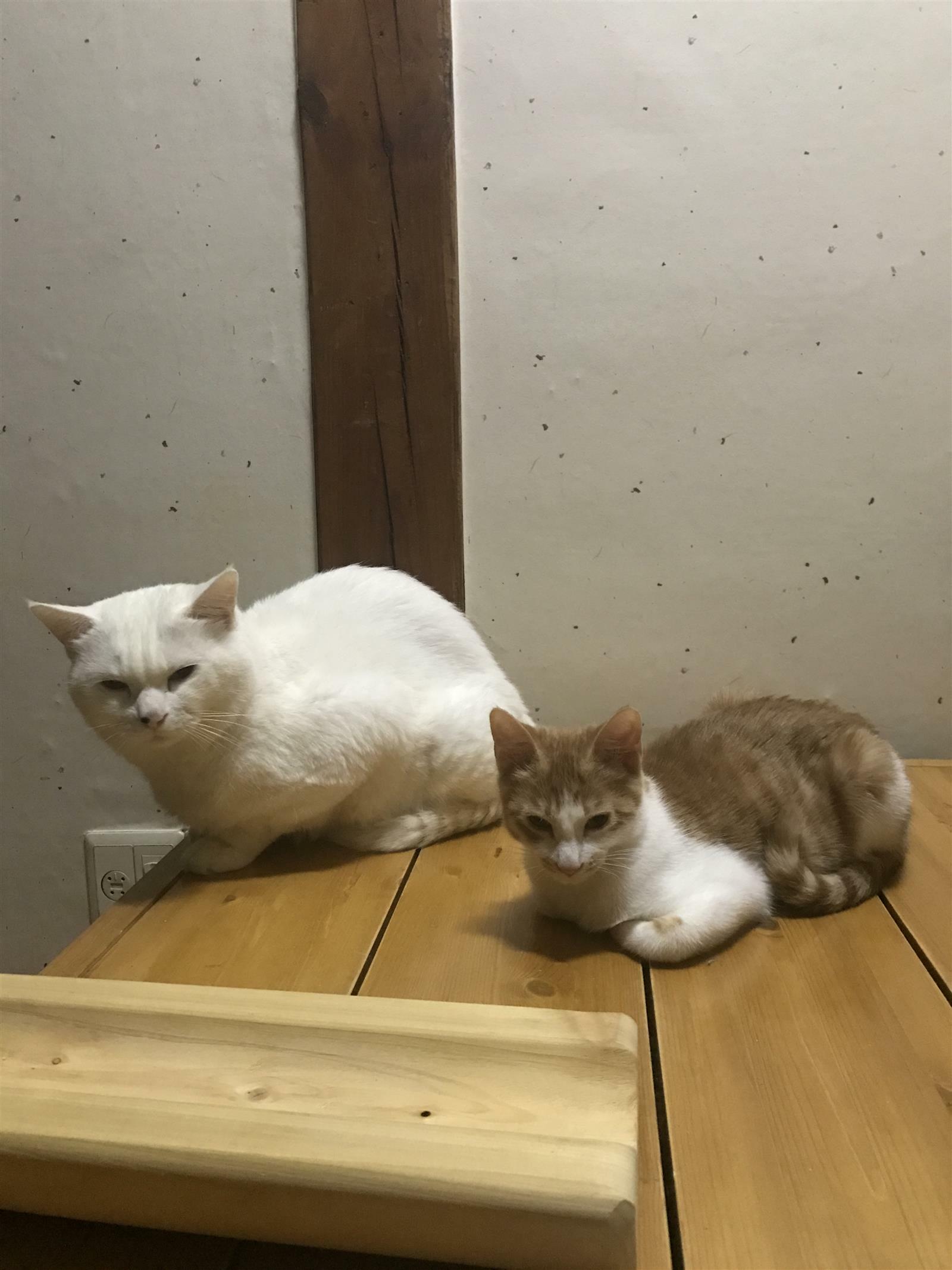 조희우님의 서재