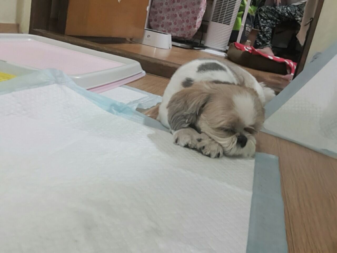 thisisafn님의 서재