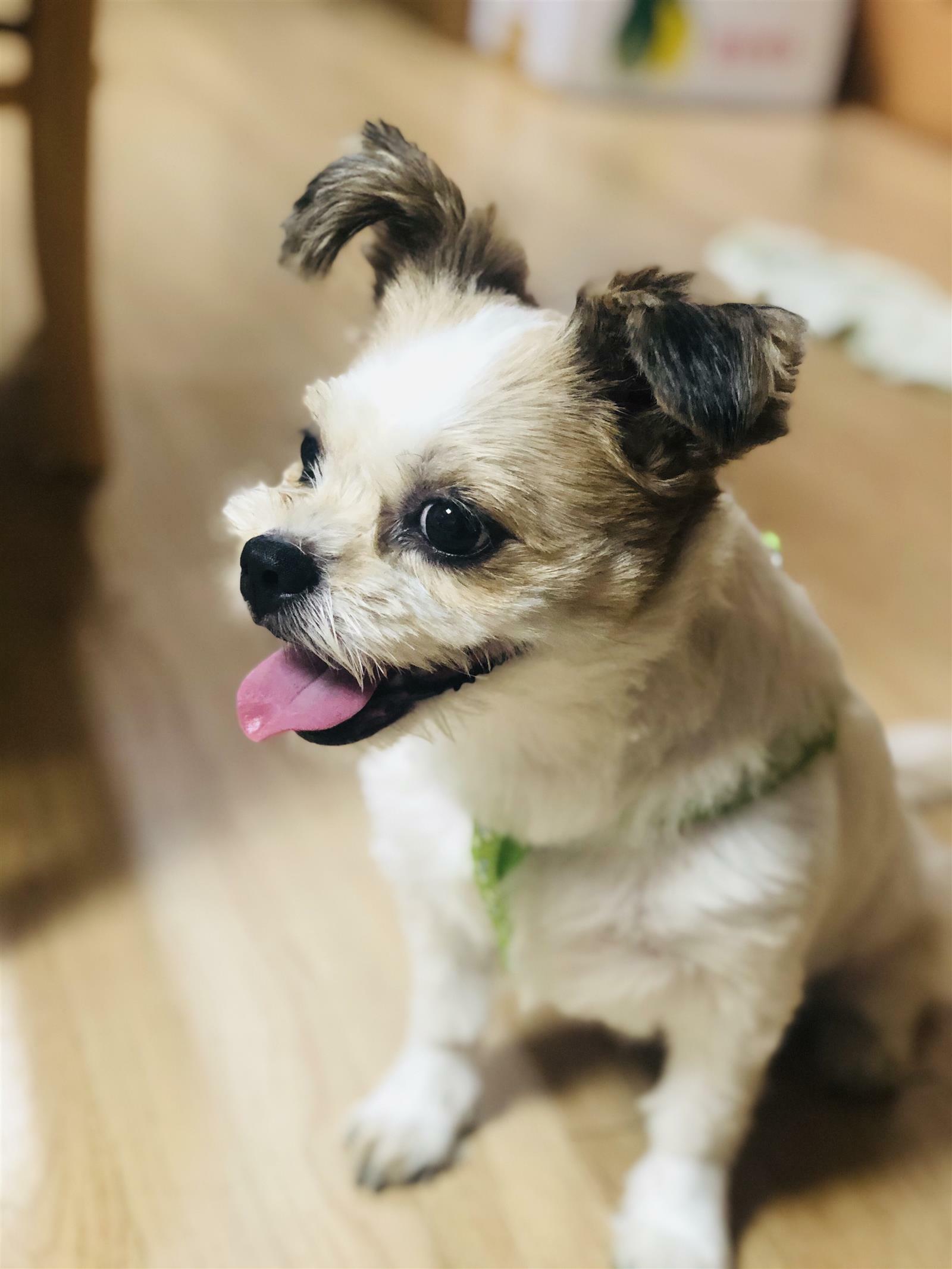 curicuri80님의 서재