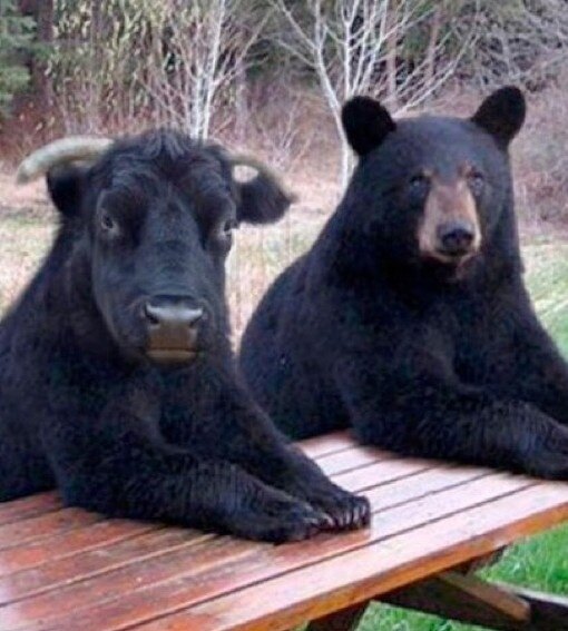 bingguls님의 서재