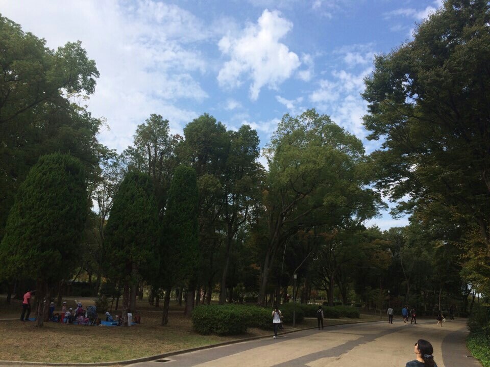 오가영님의 서재