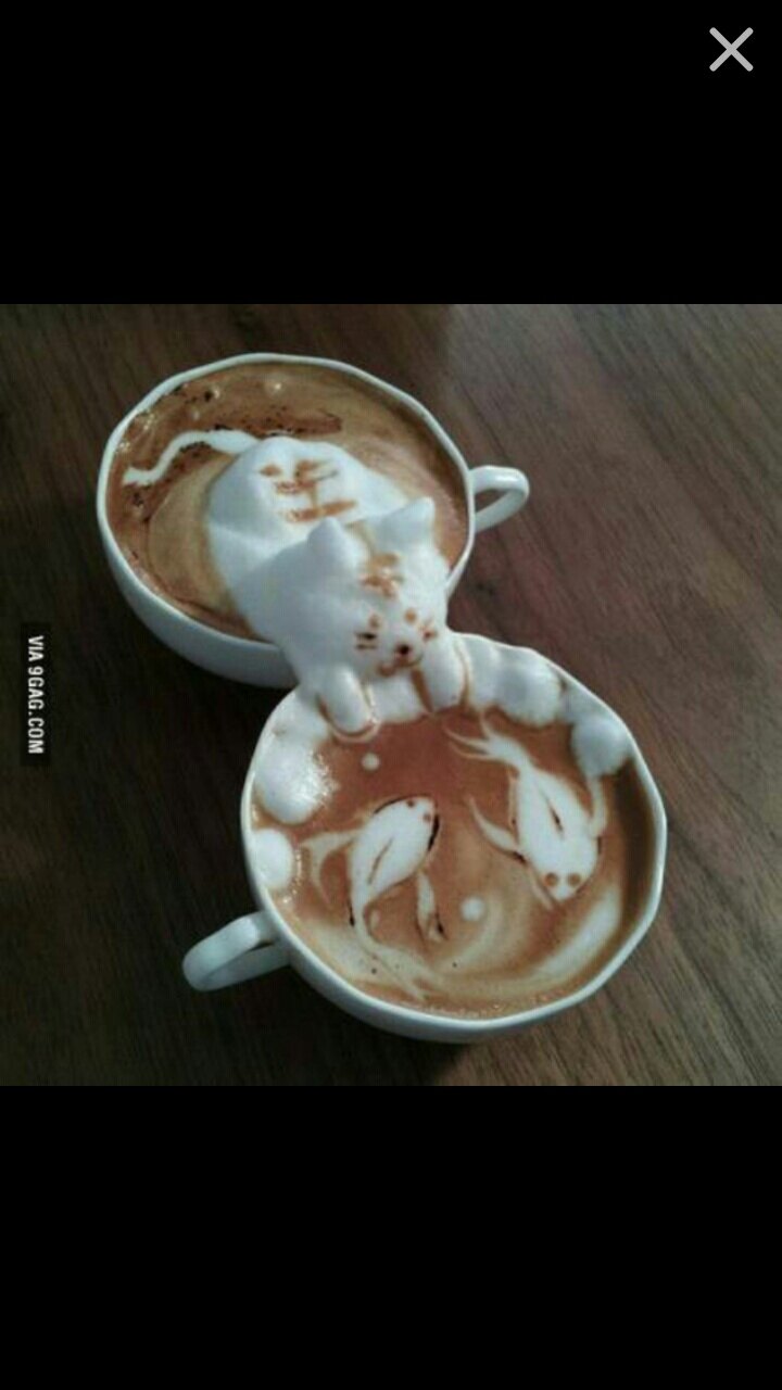 후미밍님의 서재