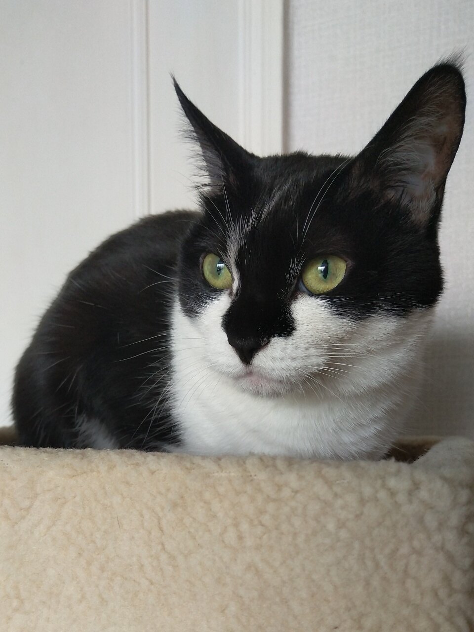 ifiaile님의 서재