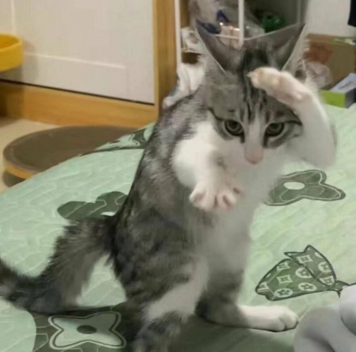 오진서님의 서재