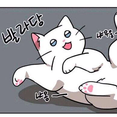 위지혜님의 서재