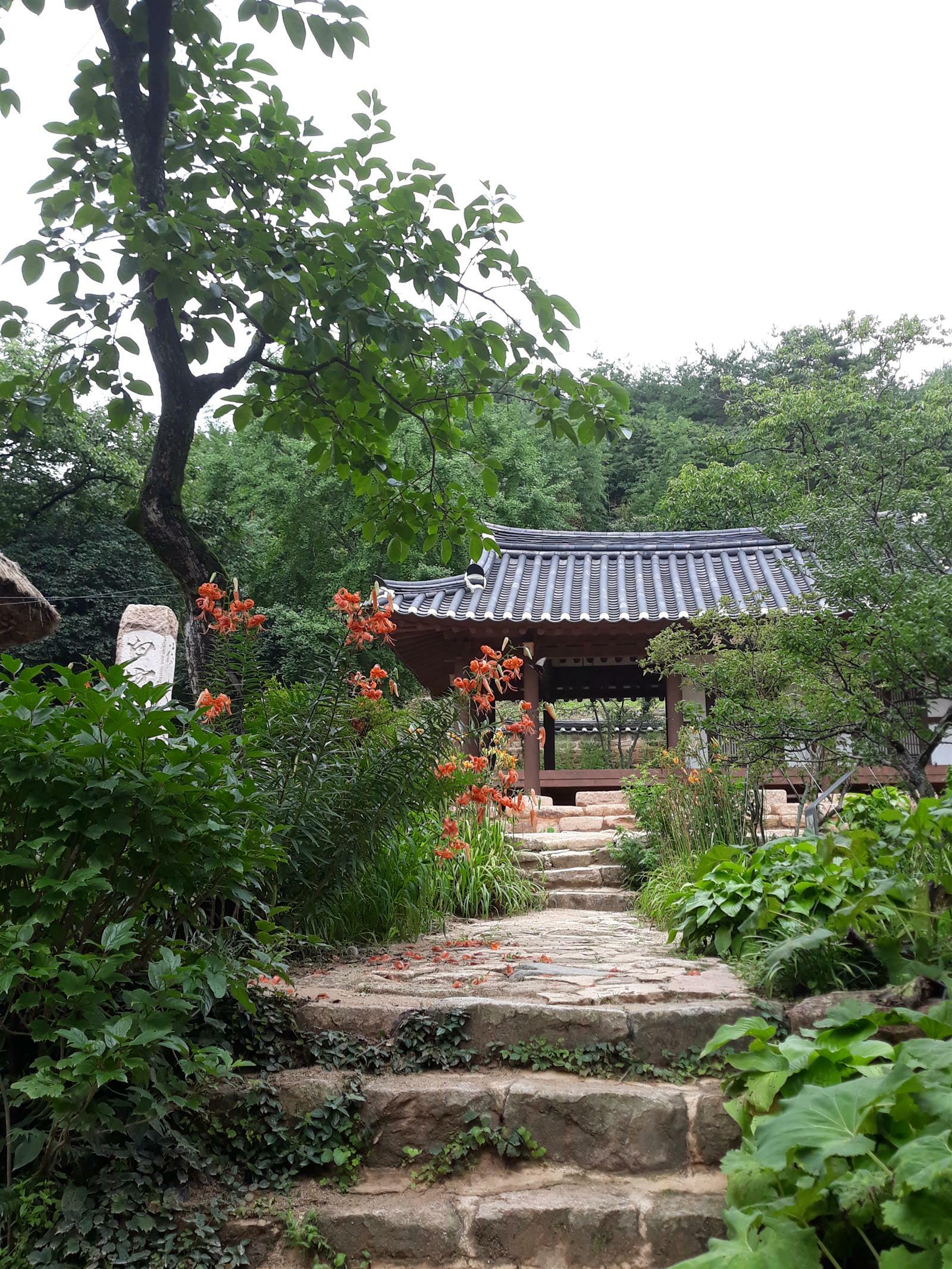 오지의 서재