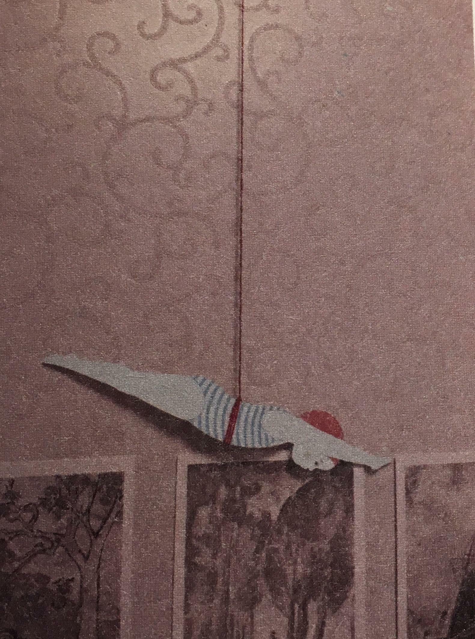 알핀바이올렛님의 서재