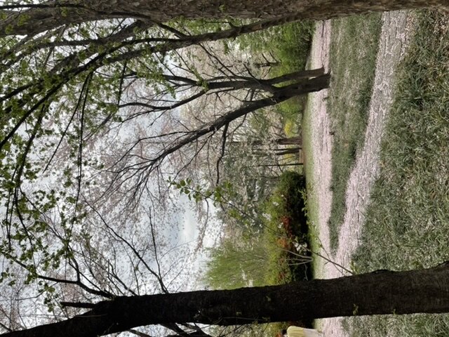 juliahj님의 서재