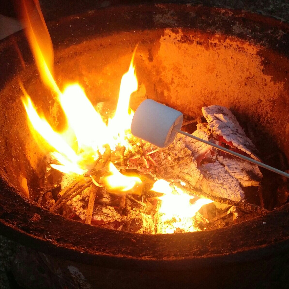 udh1004님의 서재