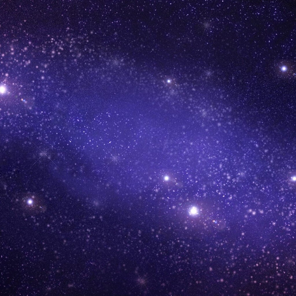 burberry101님의 서재