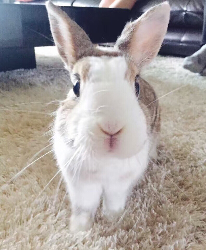 김가연님의 서재