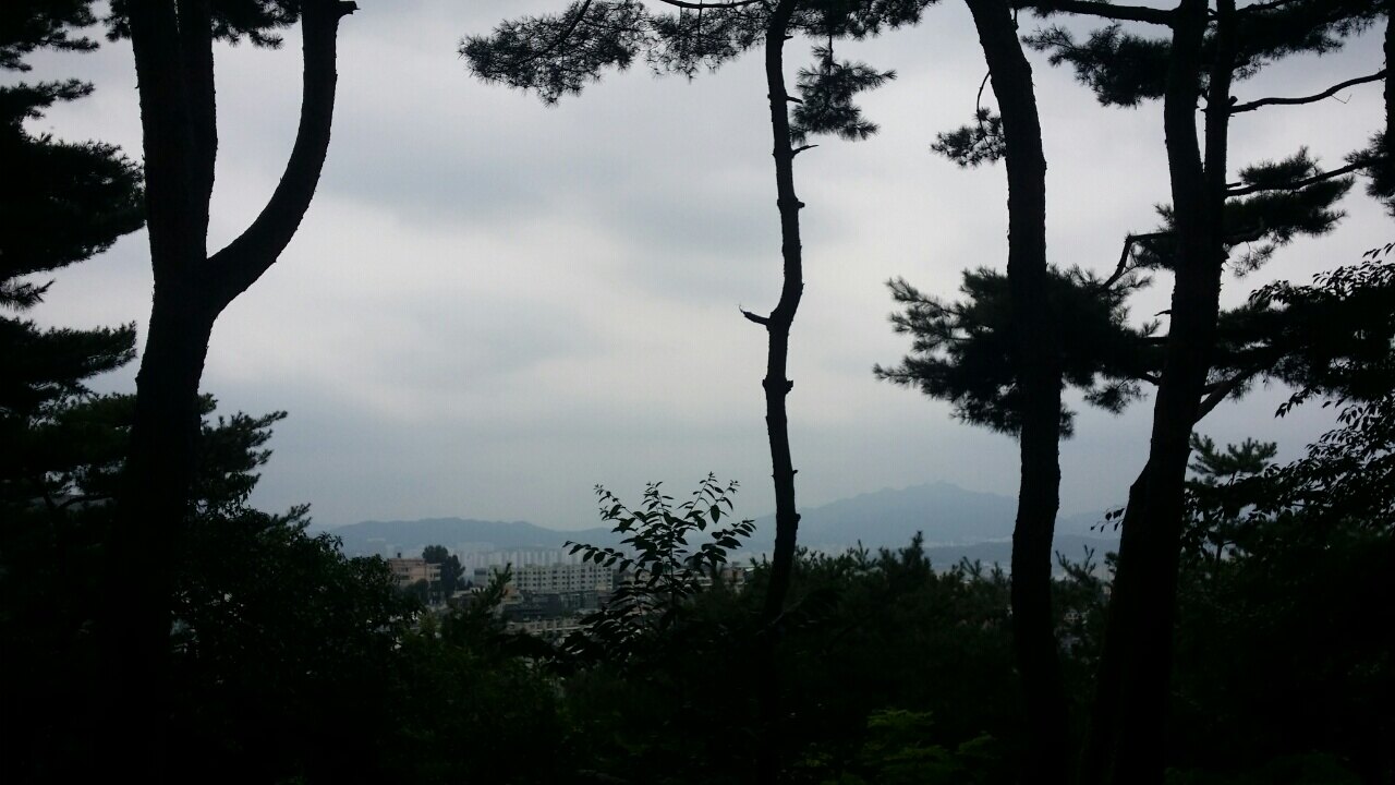 426s-b님의 서재