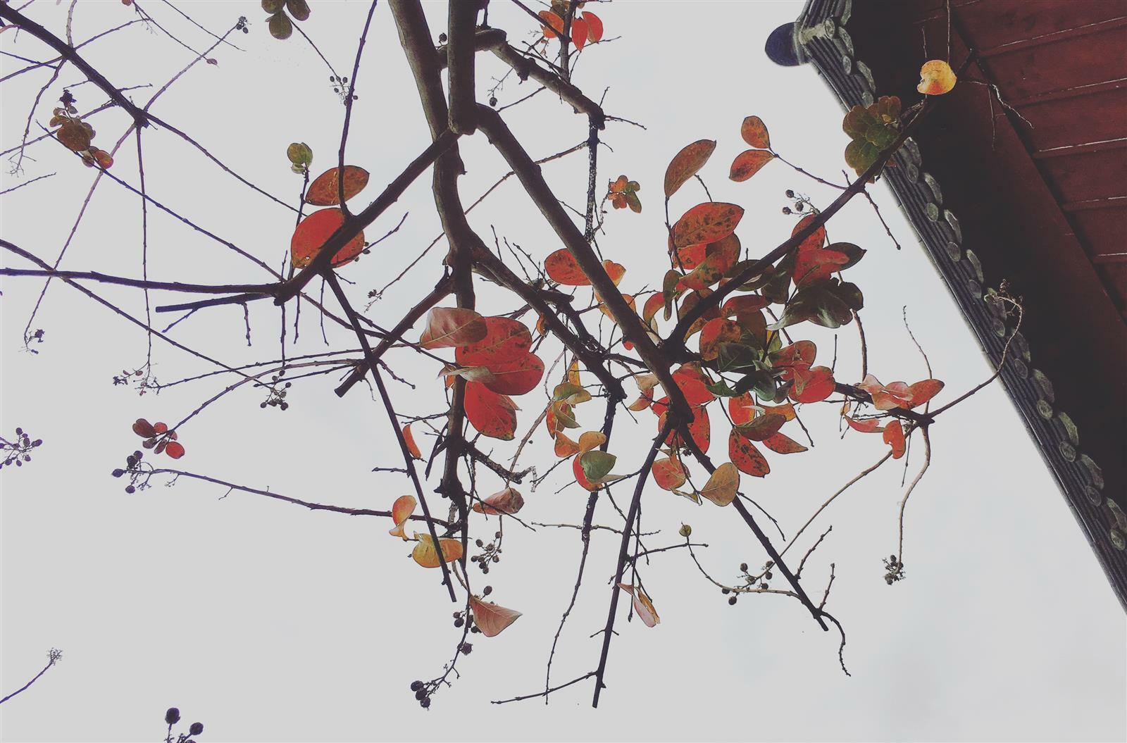 하얀빛비님의 서재