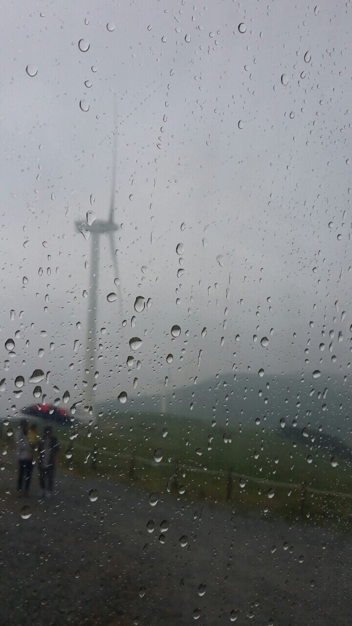 twomins님의 서재