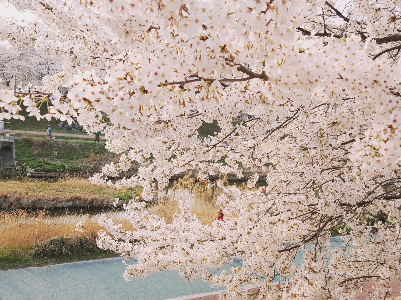 실버티님의 서재