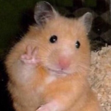 책 속에 길이 있네