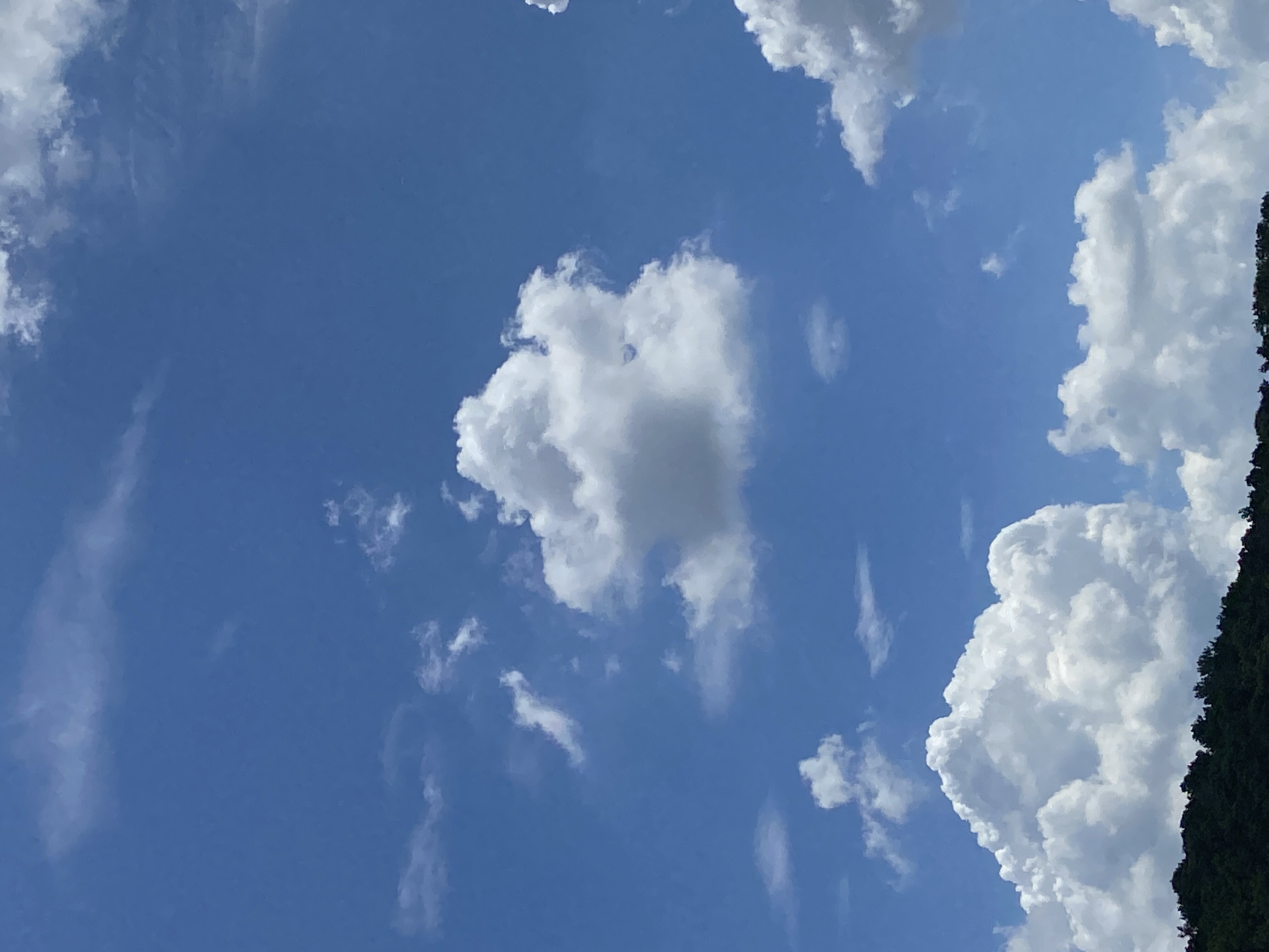 최지혜님의 서재