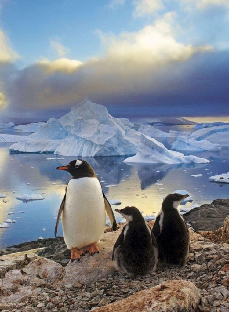 zkskap258님의 서재