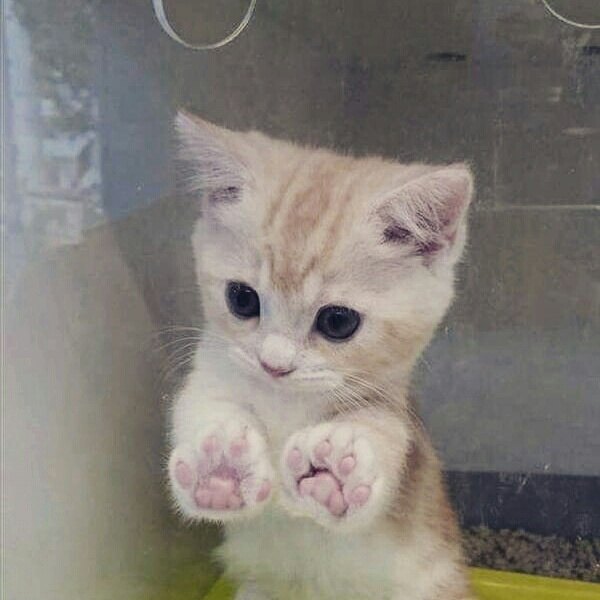 꾸시꾸시님의 서재