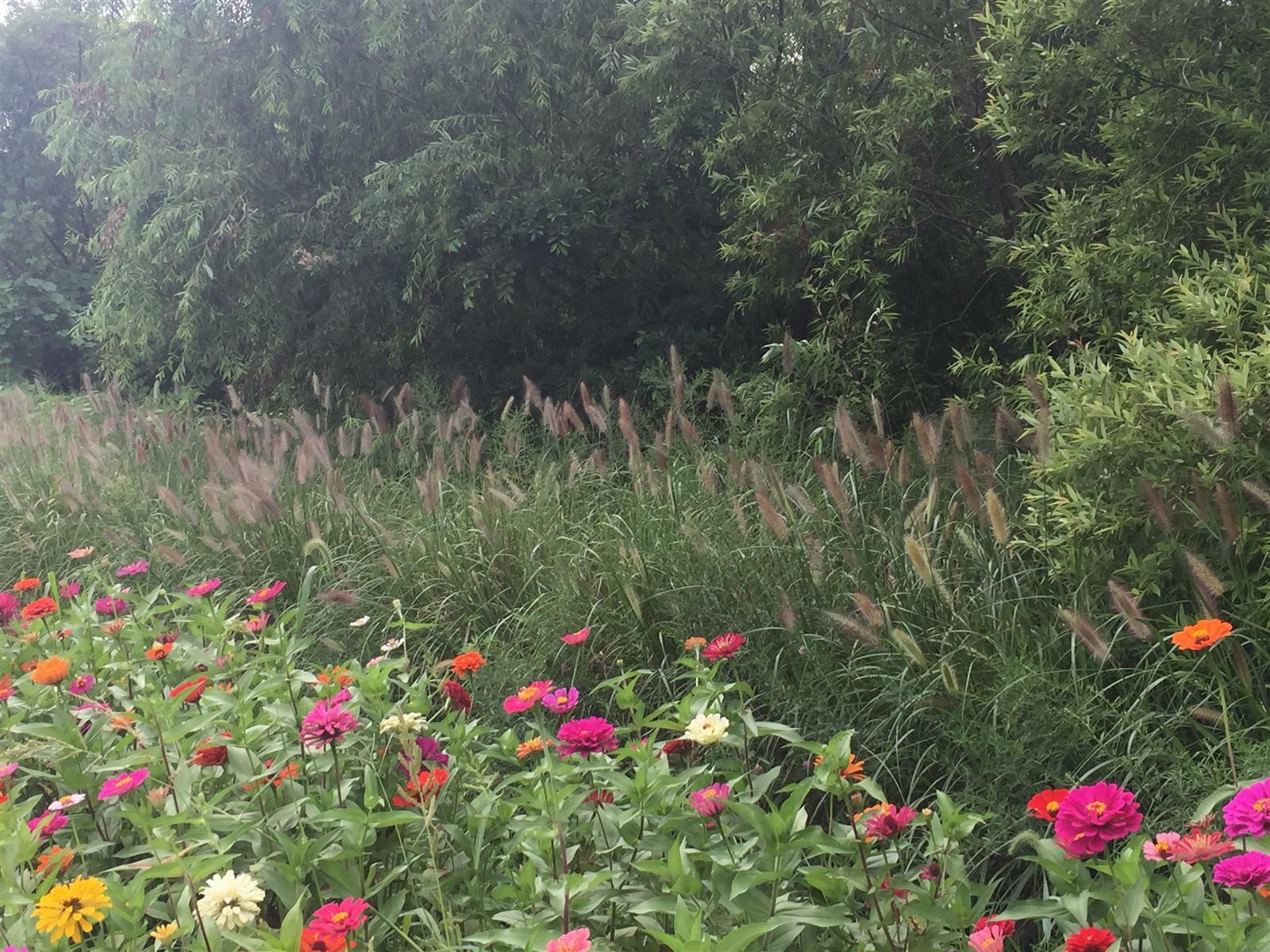 dryorigin72님의 서재