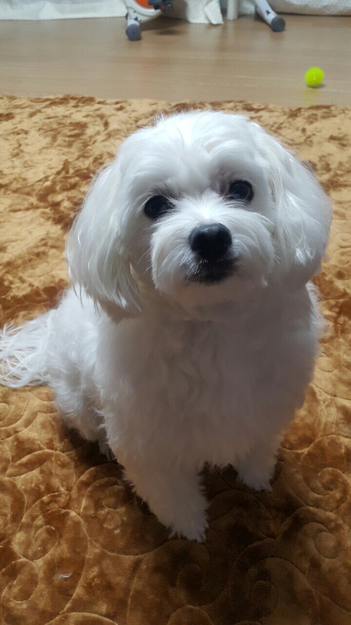 withmina님의 서재