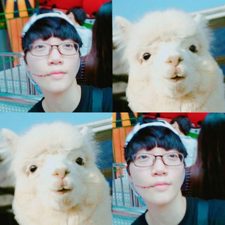 최예린님의 서재