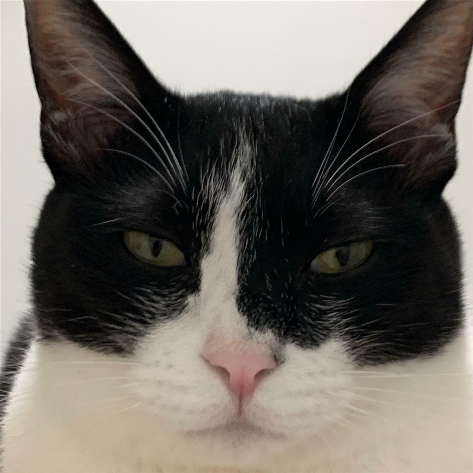 그무성님의 서재