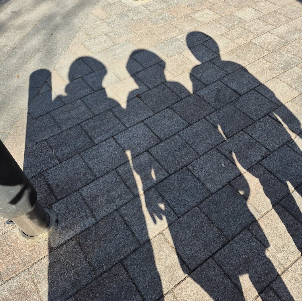 노미진님의 서재