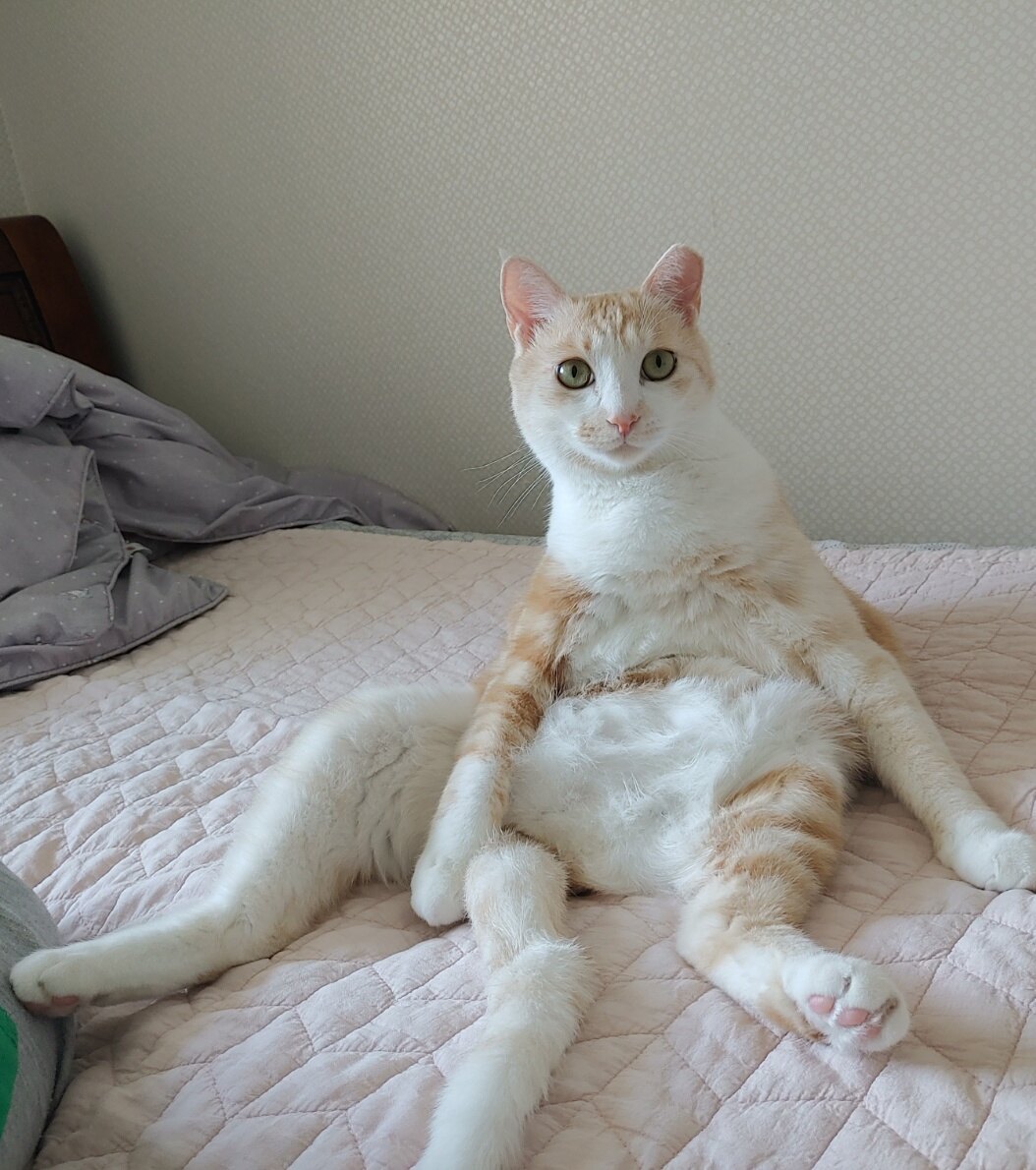 soohye85님의 서재